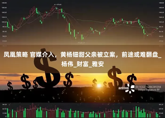 凤凰策略 官媒介入，黄杨钿甜父亲被立案，前途或难翻盘_杨伟_财富_雅安